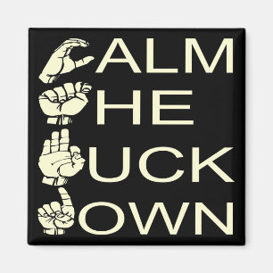 ASL CTFD-Lugnen F**K Ned #USAPatriotGraphics Magnet