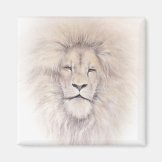 Aslan Magnet