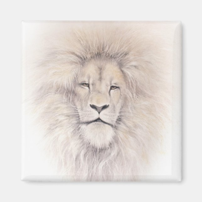 Aslan Magnet (Framsidan)