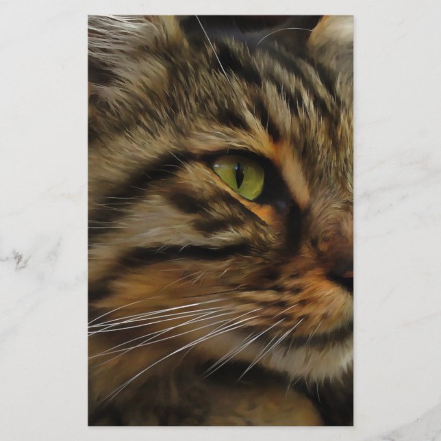 Aslan, Tabby katt med lång livslängd Brevpapper (Framsida)