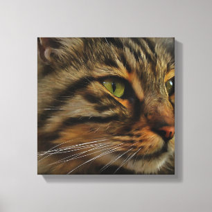 Aslan, Tabby katt med lång livslängd Canvastryck