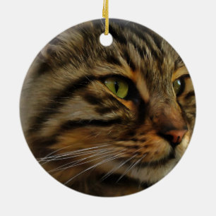Aslan, Tabby katt med lång livslängd Julgransprydnad Keramik