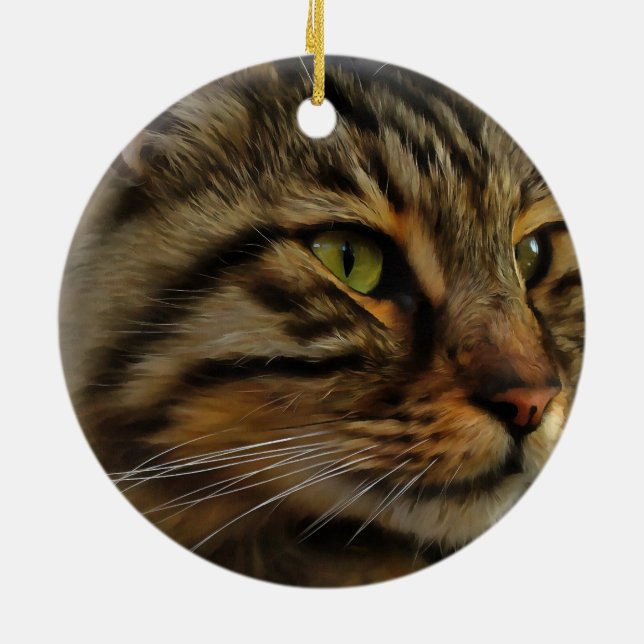 Aslan, Tabby katt med lång livslängd Julgransprydnad Keramik (Baksidan)