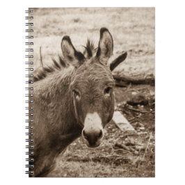Åsna Anteckningsbok Med Spiral