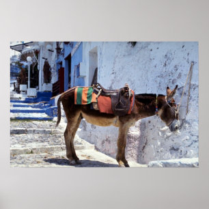 Åsna Fira Santorini, Grekland Poster