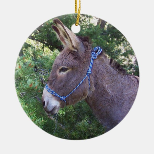 Åsna Julgransprydnad Keramik (Framsidan)