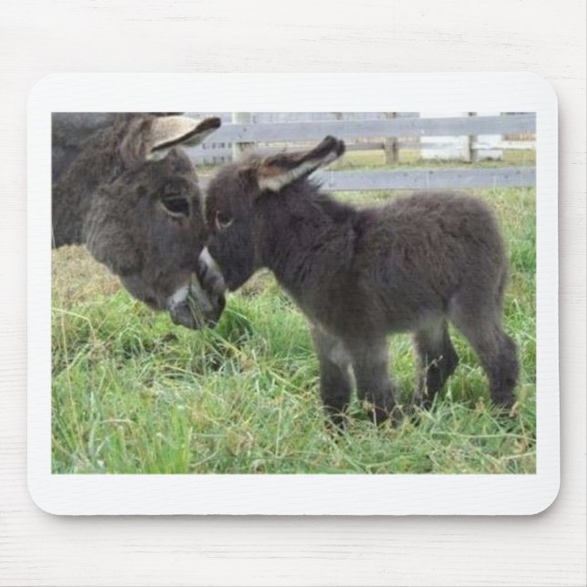 åsna musmatta (Framsidan)