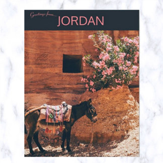Åsna och blommor i Wadi Musi Jordanien Vykort