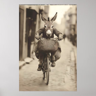 Åsna Ridning Cykel Konst Rolig Djur Vintage Foto Poster