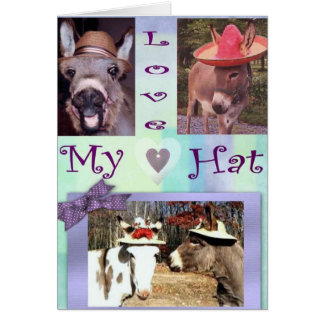 Åsnahattar Hälsningskort