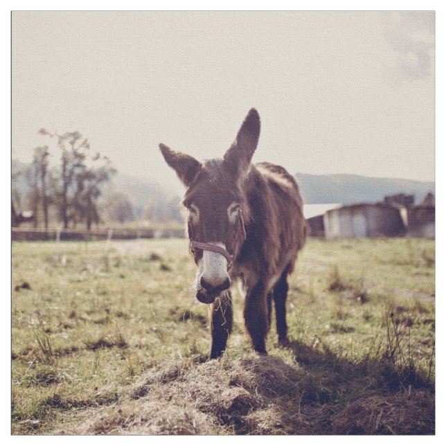 Åsnamatning Tyg (Provkarta)