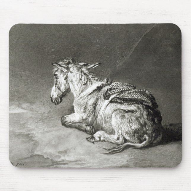 Åsnan på vilar musmatta (Framsidan)