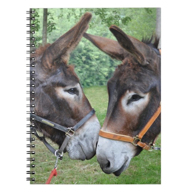 Åsnavänner Anteckningsbok (Framsidan)