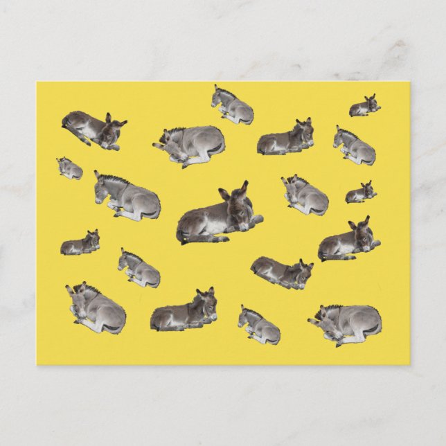 Åsne mani vykort (Framsida)