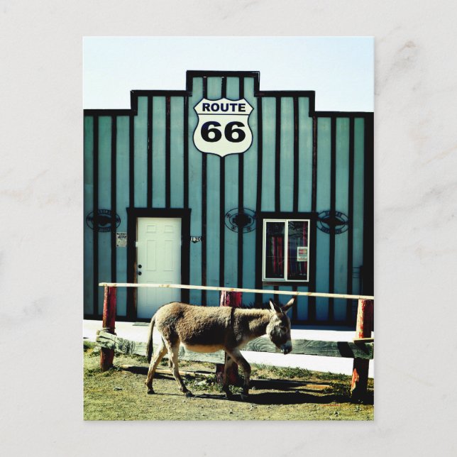 Åsneby Oatman Arizona Meddelande Vykort (Framsida)