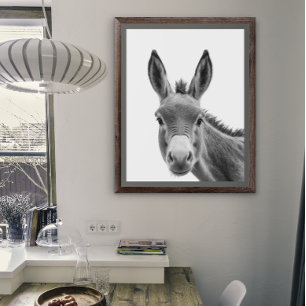 Åsnehuvud Porträtt Svart vitt Poster
