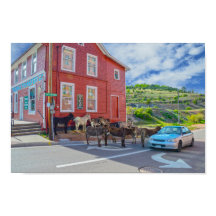 Åsnings välkomstkommitté, Cripple Creek Colorado