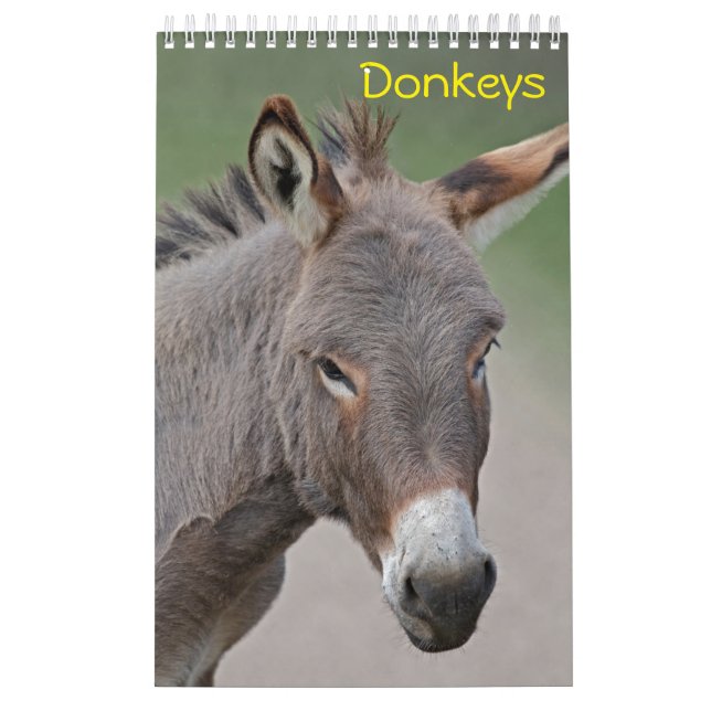 Åsnor Kalender (Omslag)