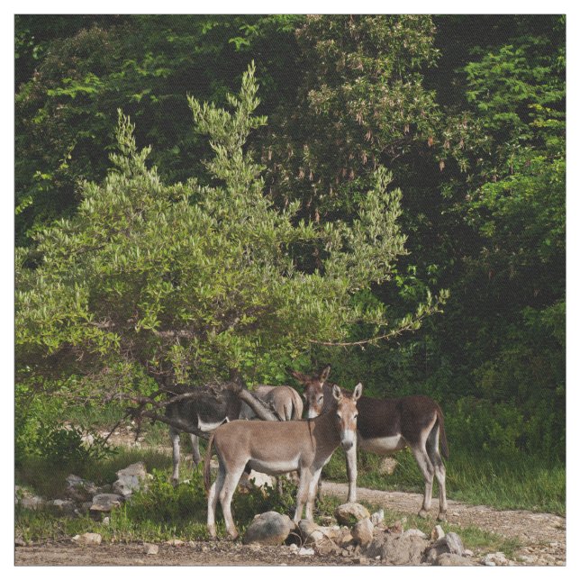 Åsnor under träd tyg (Provkarta)
