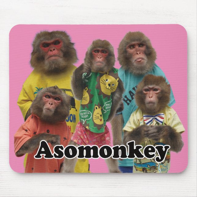 Asomonkey mouse pad version2.　Asomonkeyみんなのマウスパッド2 Musmatta (Framsidan)