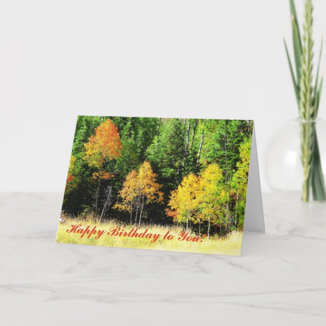 Asp- födelsedagkort kort (Framsida)