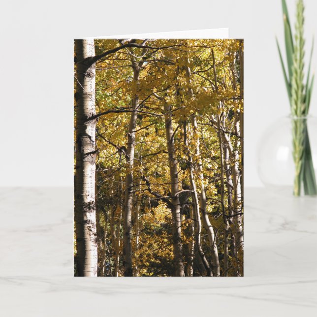 Asp- guld kort (Framsida)