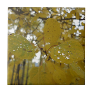 asp- löv kakelplatta