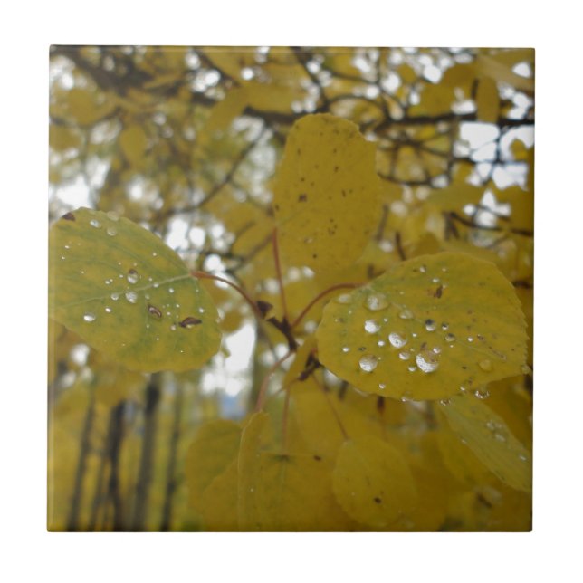 asp- löv kakelplatta (Framsidan)