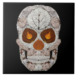 Asp- lövskalle 11 kakelplatta