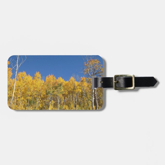 Asp- träd, Colorado Bagagebricka (Horisontell Framsida)