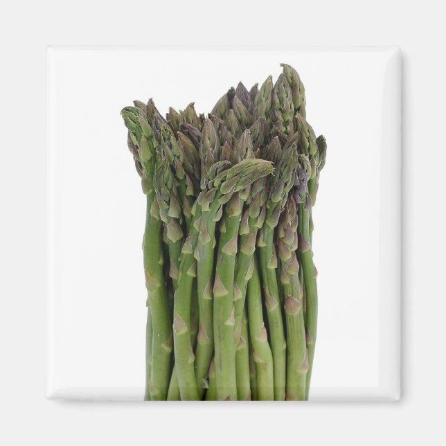 Asparagus Magnet (Framsidan)