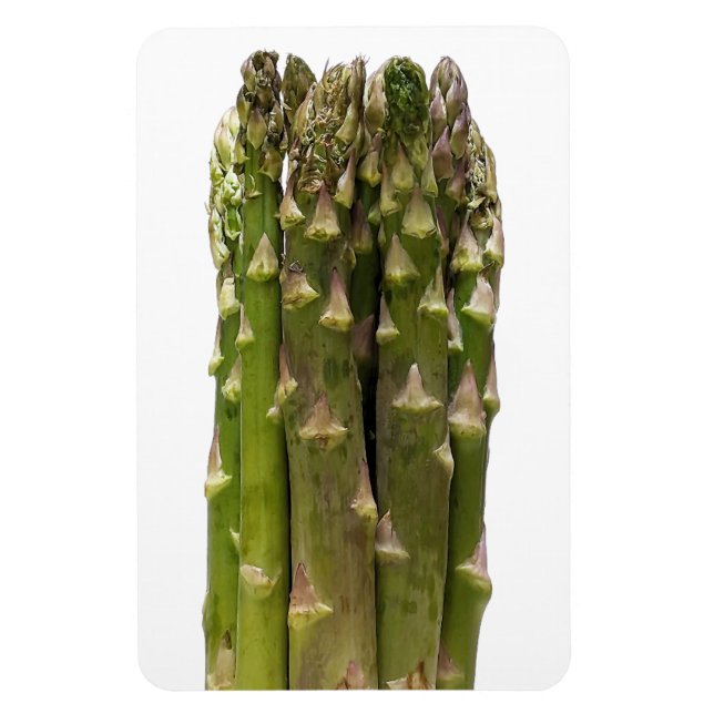 Asparagus Photo Magnet (Vertikal)