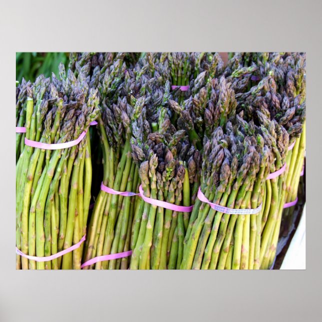 Asparagus Poster (Framsidan)
