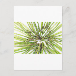 Asparagus Towards Centre Vykort