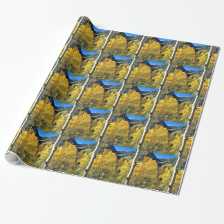 Aspen 8 presentpapper