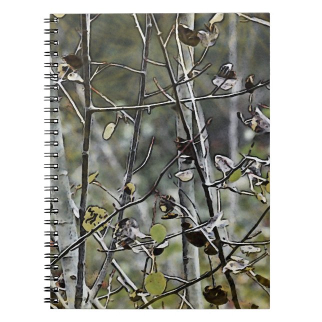 Aspen Anteckningsbok (Framsidan)
