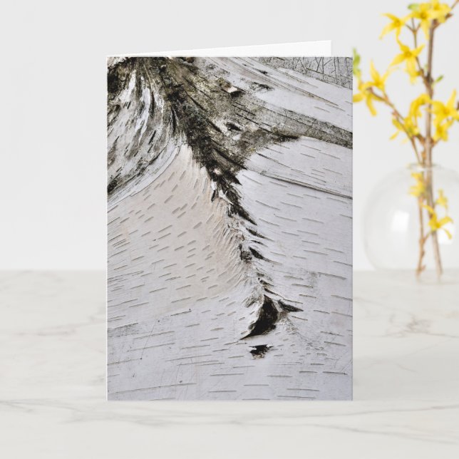 Aspen Bark stäng upp Kort (Gul blomma)