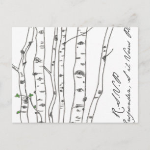 Aspen Birch Träd Grove OSA vykort för