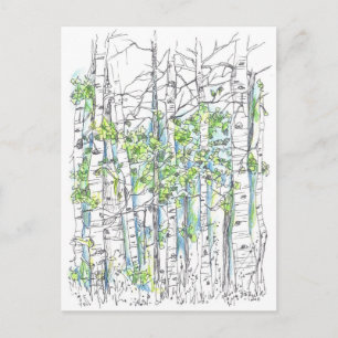 Aspen Birch Träd Pen och Bläck Teckning Vykort