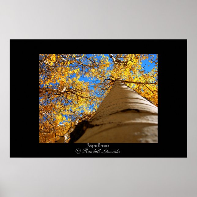 Aspen Dreams Poster (Framsidan)