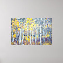 Aspen Forest
