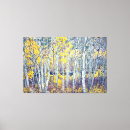 Aspen Forest Canvastryck