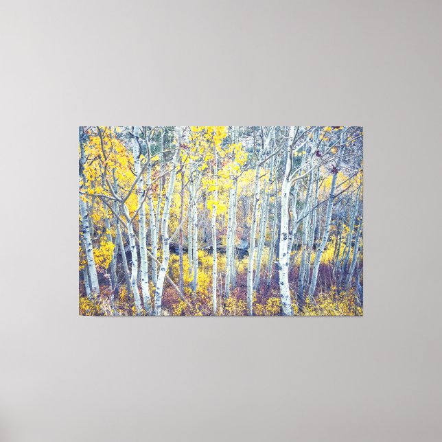 Aspen Forest Canvastryck (Framsida)