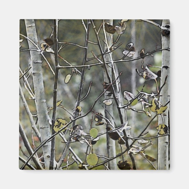 Aspen Forest Magnet (Framsidan)
