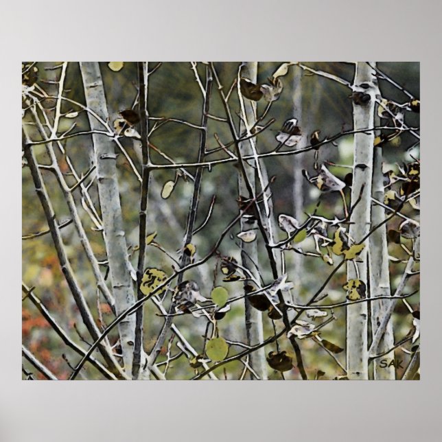 Aspen Forest Poster (Framsidan)