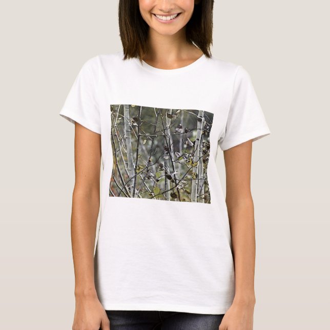 Aspen Forest Tröja (Framsida)