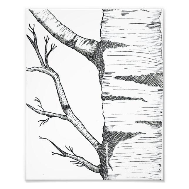 Aspen  fototryck (Framsidan)