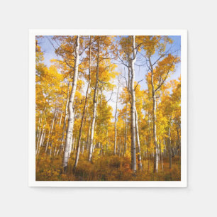 Aspen Groove Gult Höst löv Pappersservett