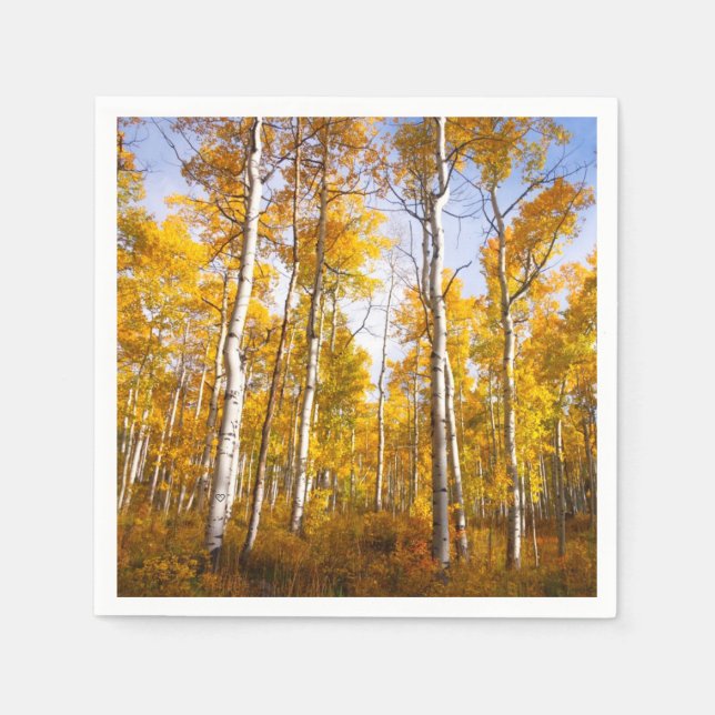 Aspen Groove Gult Höst löv Pappersservett (Framsidan)