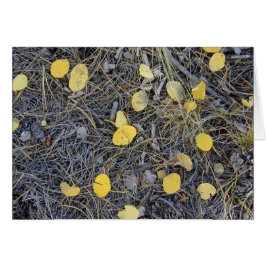 Aspen Ground II-kort Hälsningskort